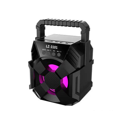 Portable bluetooth speakers 3101 with handle