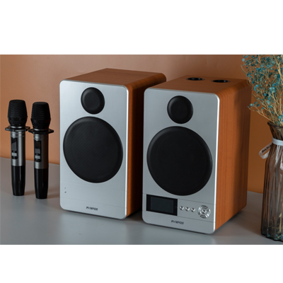 2.0 HIFI speakers P10 karaoke speakers for home theater